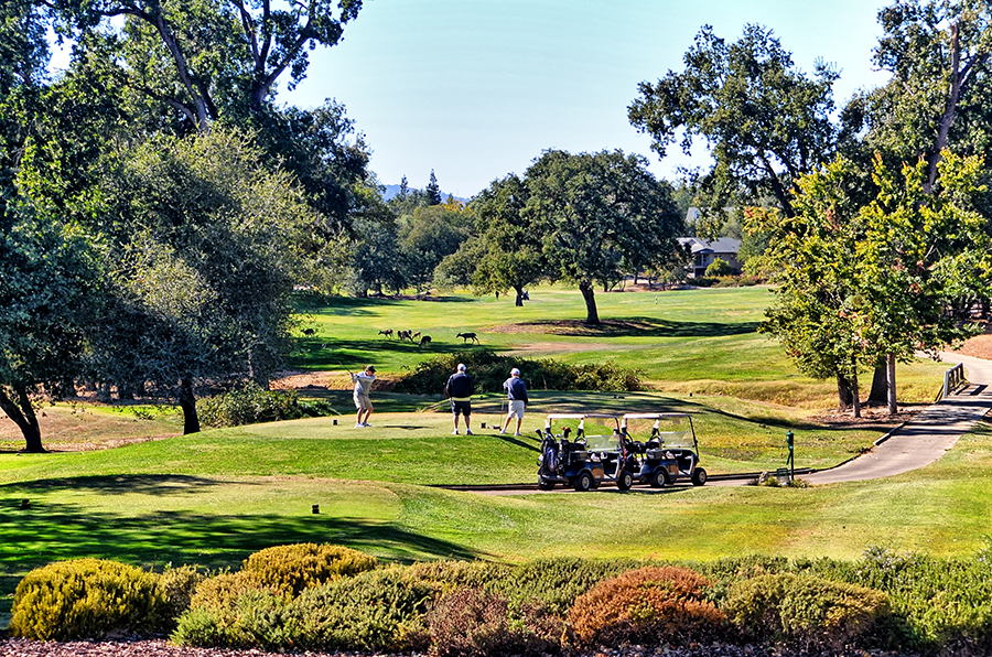 Greenhorn Creek, Angels Camp, CA Real Estate & Homes For Sale