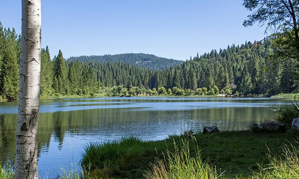lake in Arnold CA